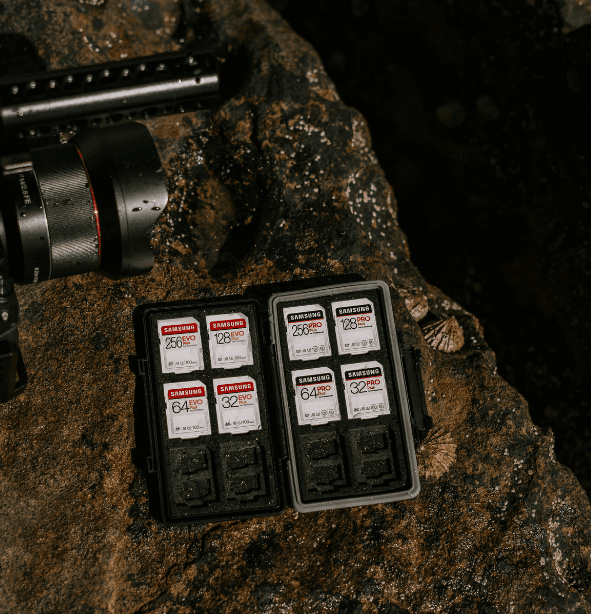 Wildlife photography camera accessories