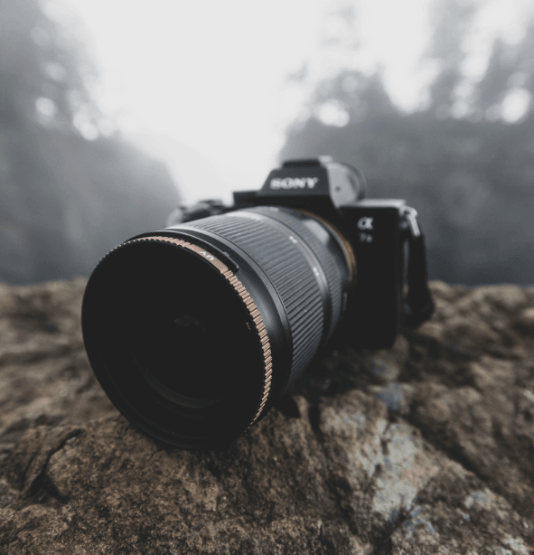 Camera for wildlife photography