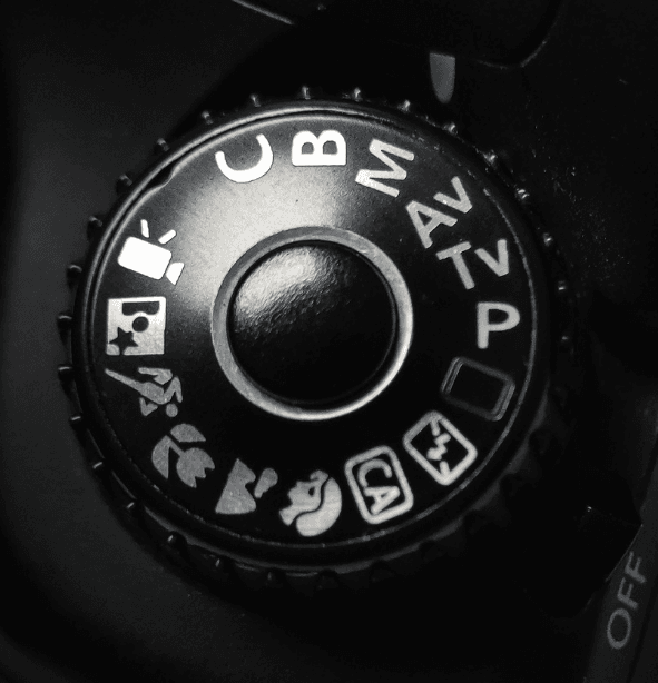 Camera settings controls for wildlife photography