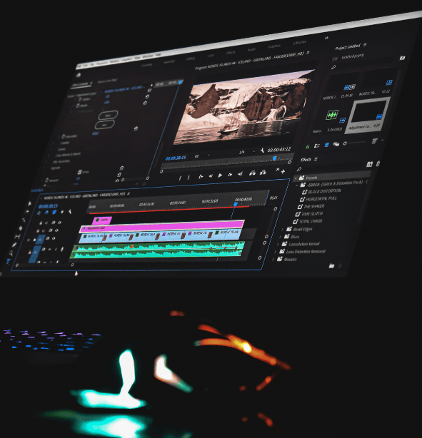 Wildlife photography editing and workflow