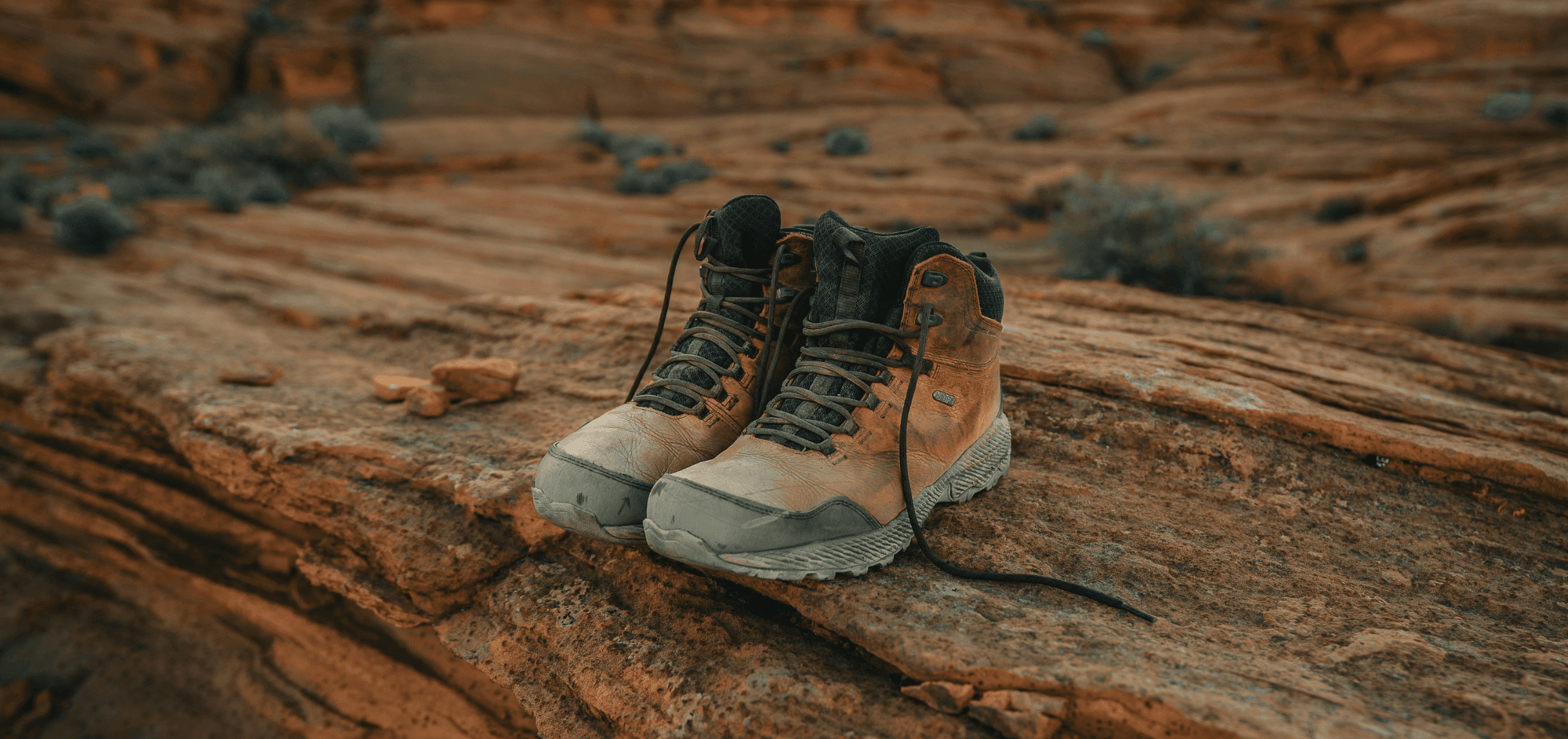Clothing and Footwear