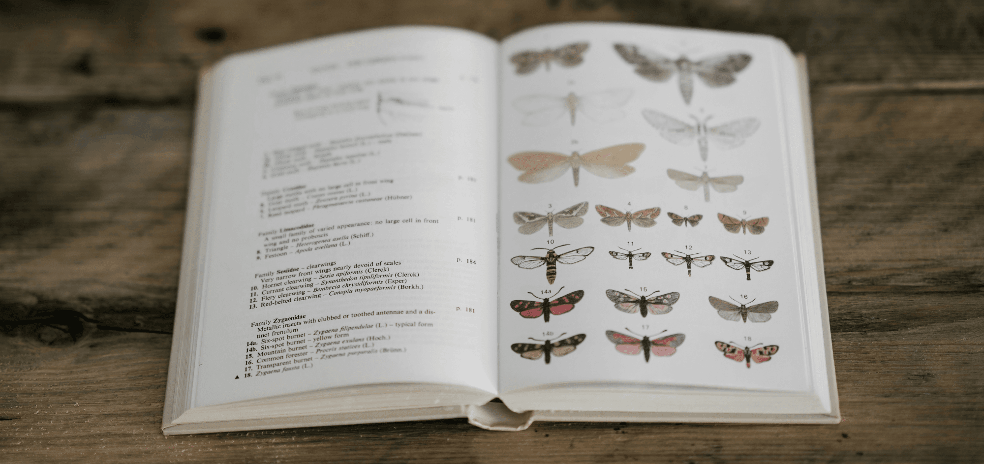 Using a Field Notebook